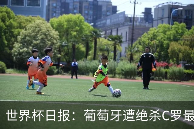 世界杯日报：葡萄牙遭绝杀C罗最后一舞 多国效仿美国上诉红黄牌