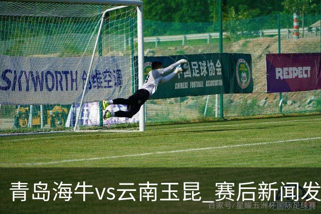 青岛海牛vs云南玉昆 赛后新闻发布会